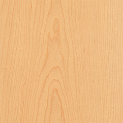 M.F. ROSA CONTRACTING Images