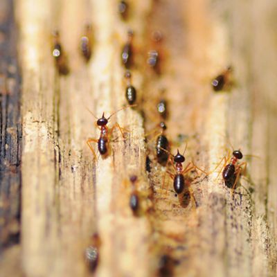 M.F. ROSA CONTRACTING Images